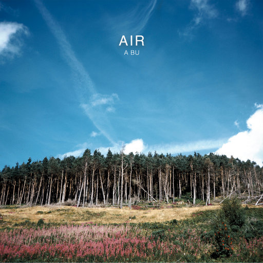 又黄又骚的视频国产
